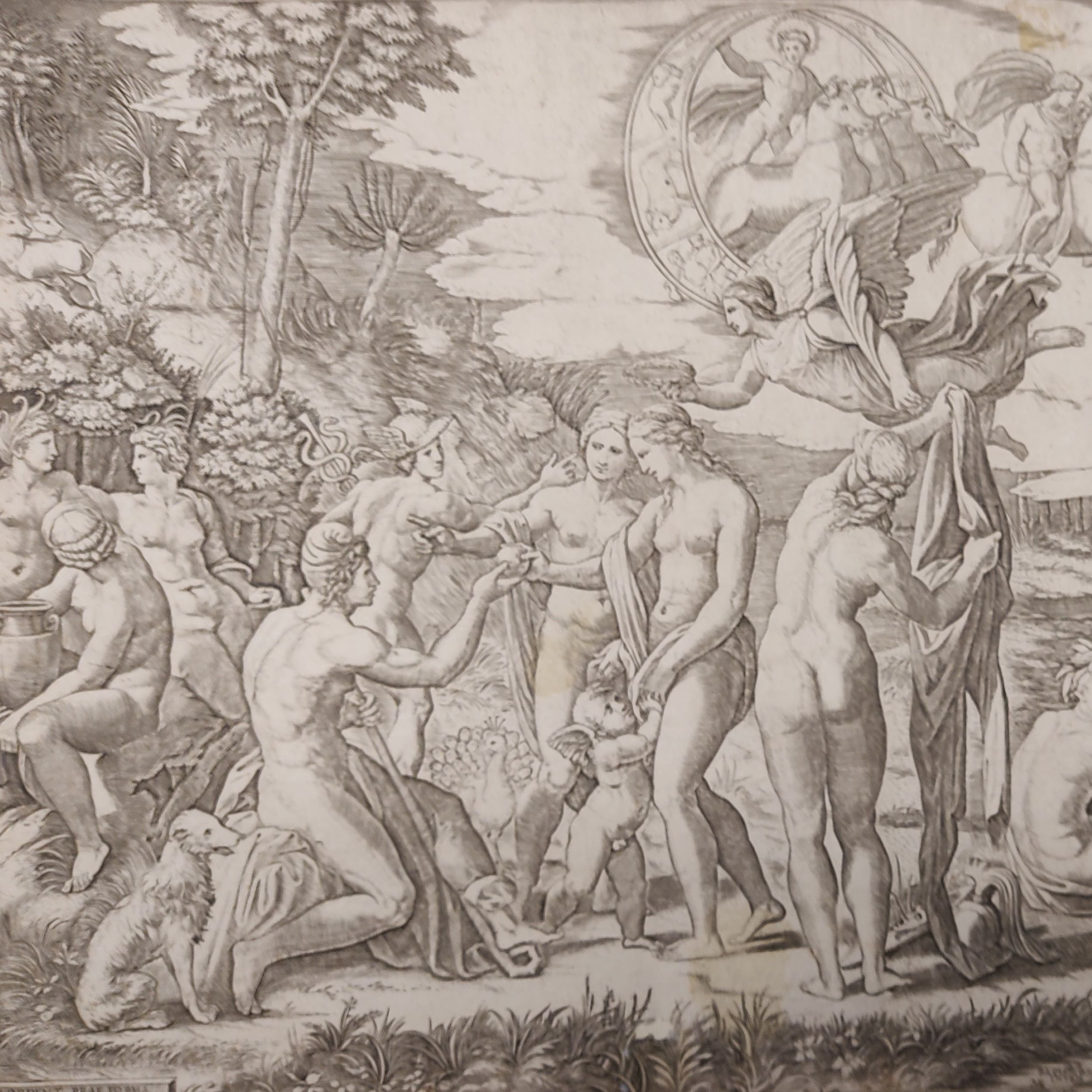 The Judgement of Paris