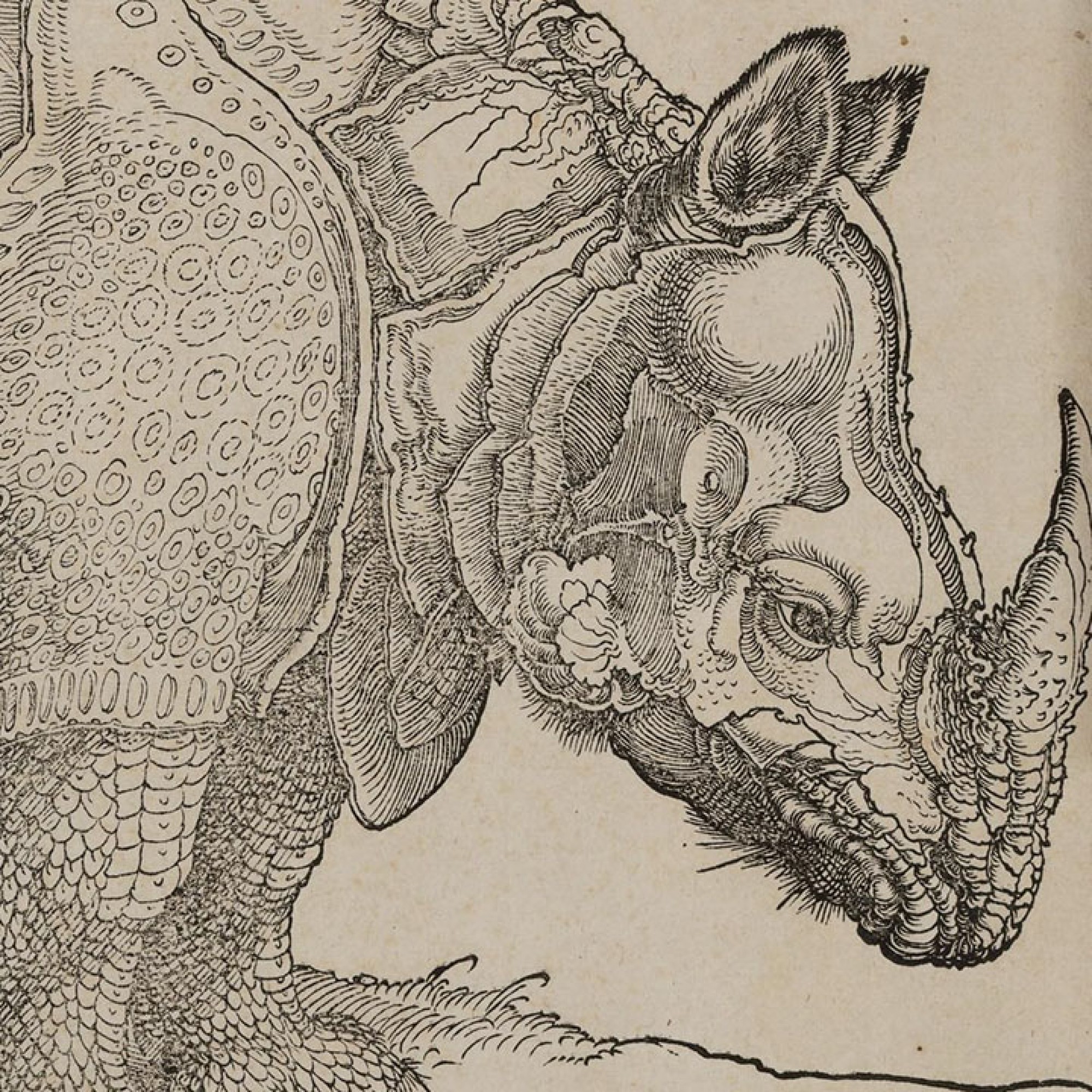 Albrecht Dürer. The Remondini collection