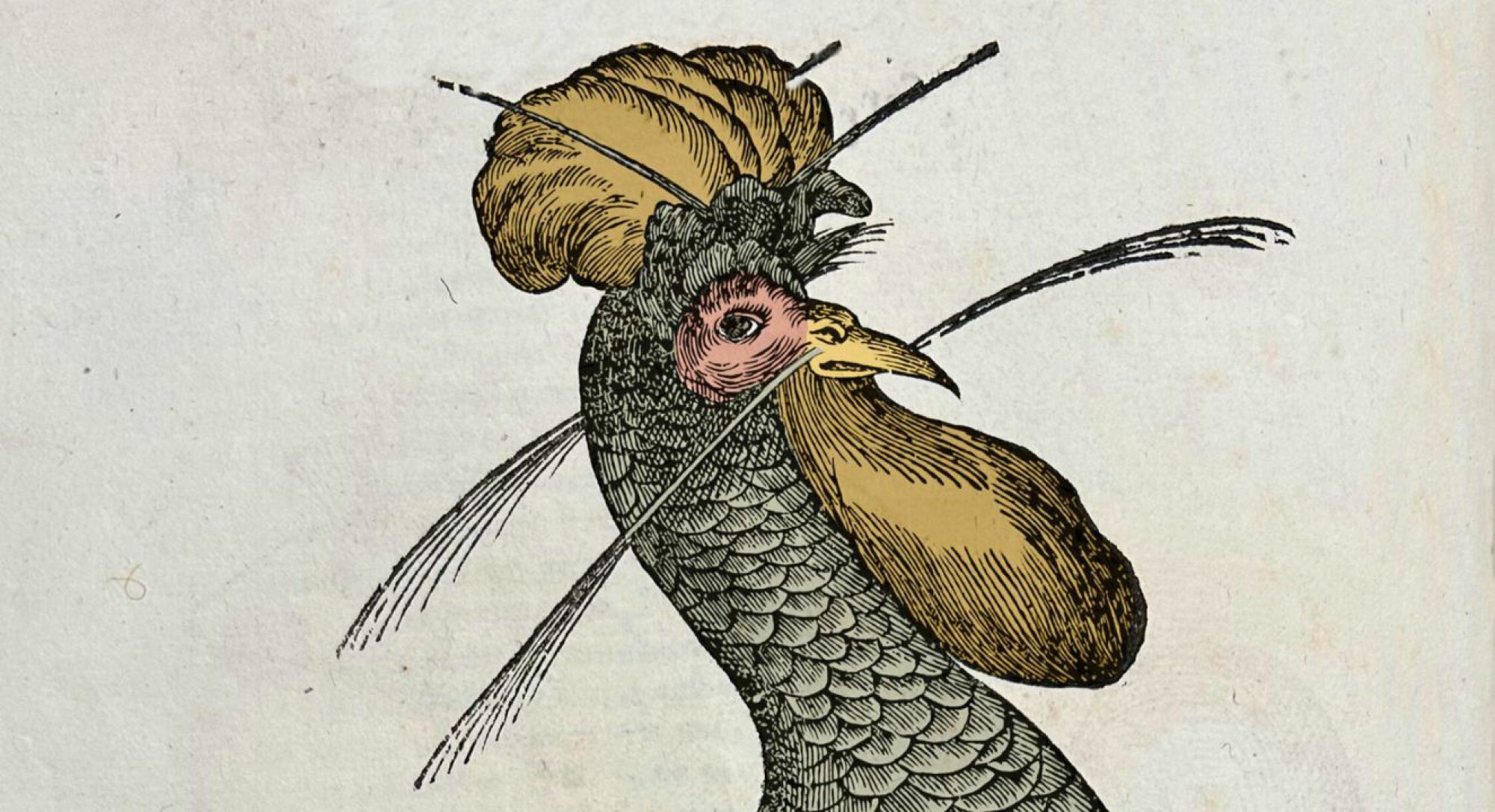 Animali e creature fantastiche <br><i>Tra scienza arte e simbolismo</i></br>